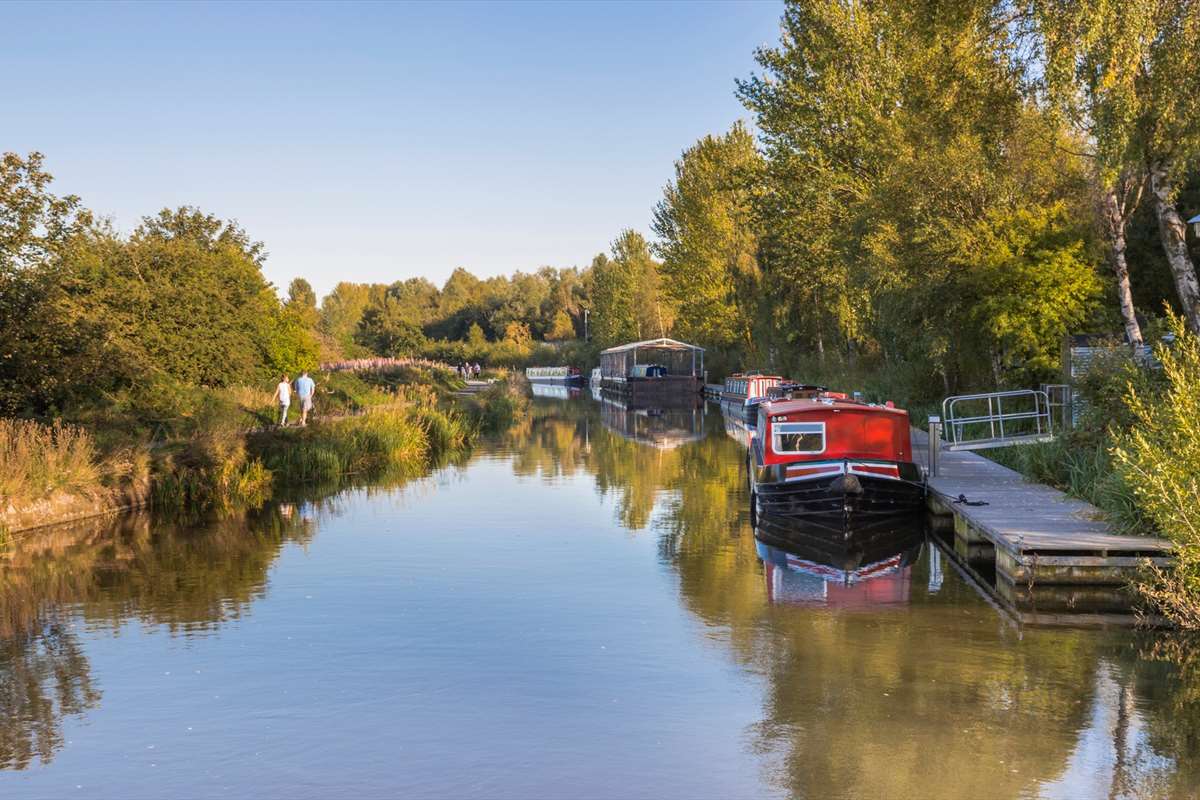 Canal Improvements