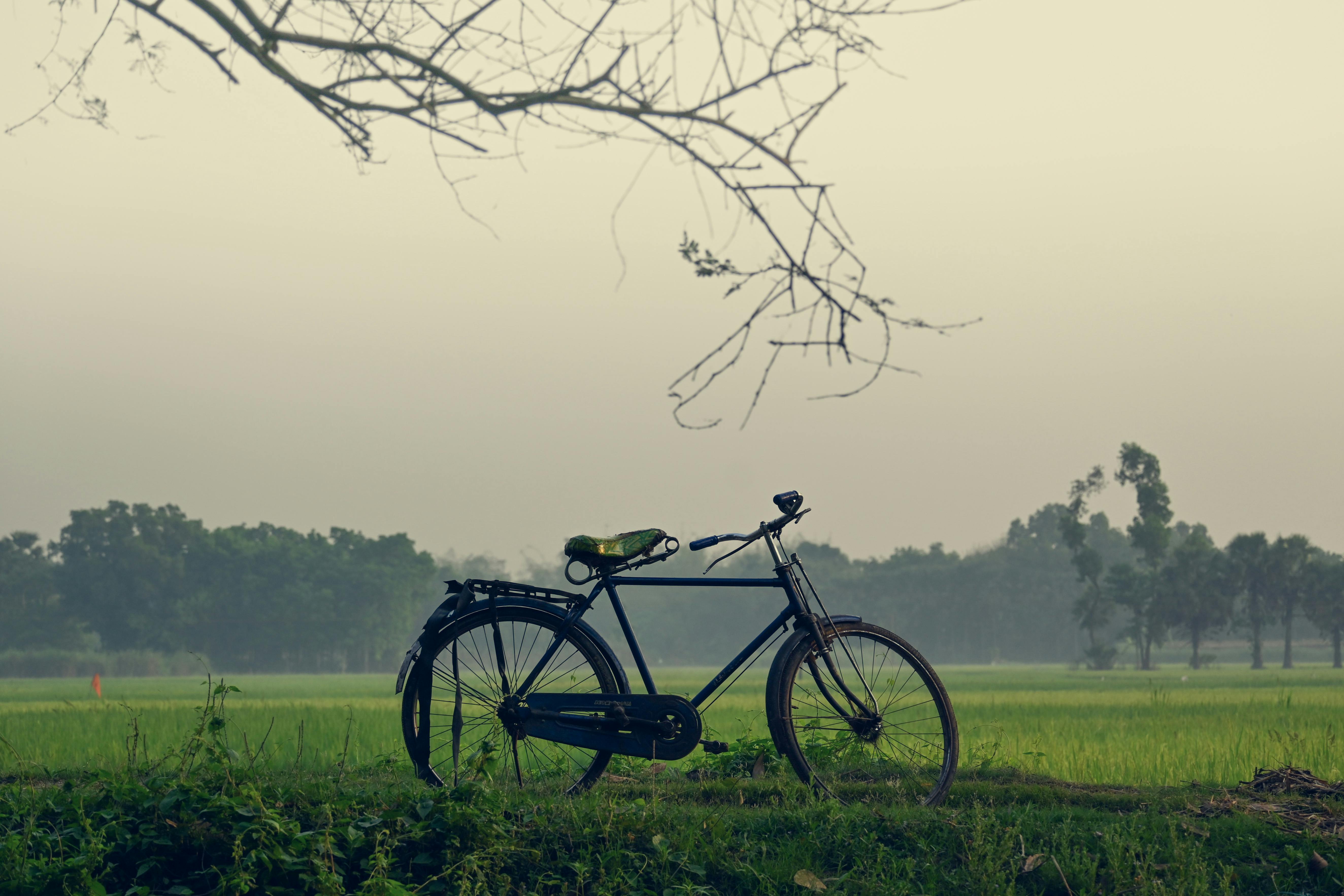 Vote for your favourite bike