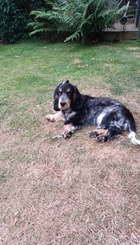 20220722_061816 (003).jpg