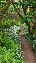 Lorem ipsum dolor sit amet