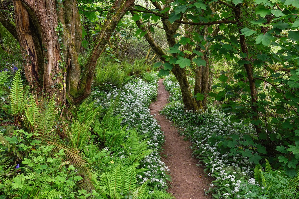 Lorem ipsum dolor sit amet