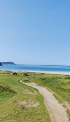 IMG_20210826_114541 (1).jpg